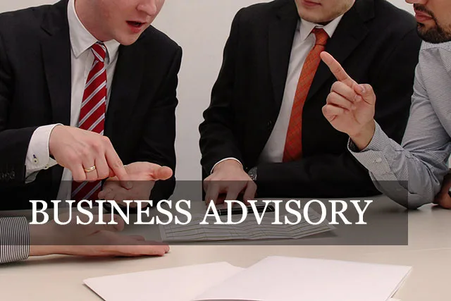Business Advisory